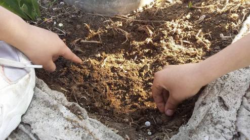 17800485_1345052988873574_466247658148105371_n